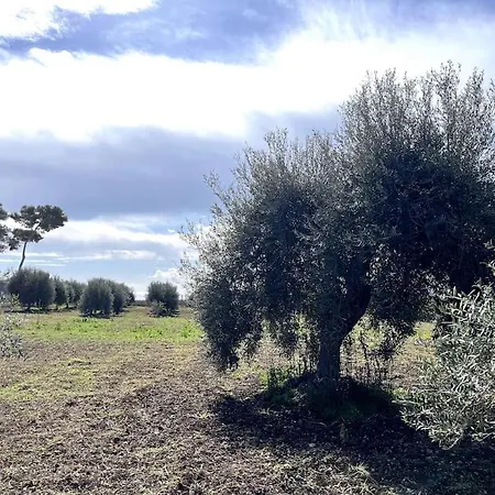 Holiday home Casa Del Carrubo Avola
